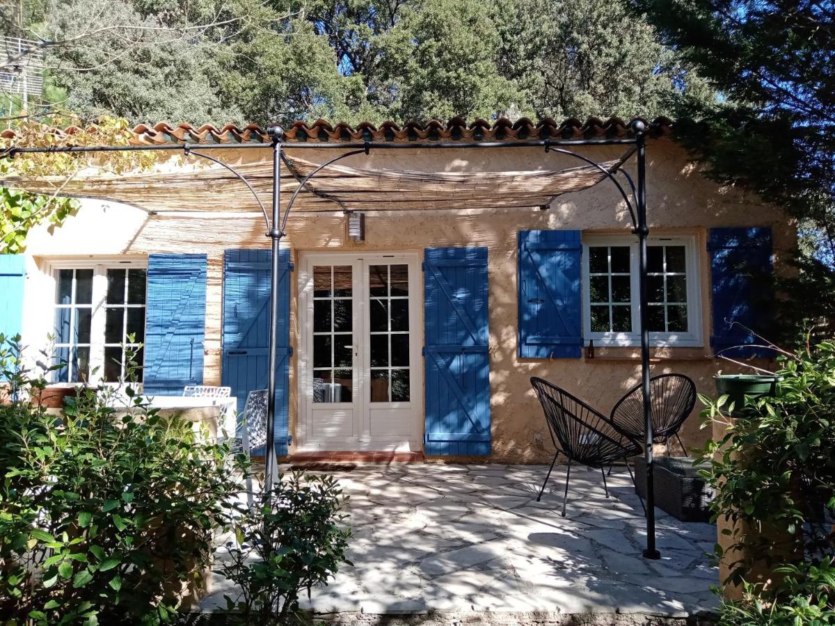 Hotel Au Mas Saint Pierre Pignans Esterno foto